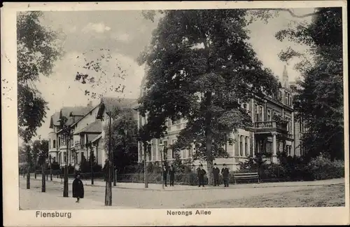 Ak Flensburg in Schleswig Holstein, Nehrongs Allee