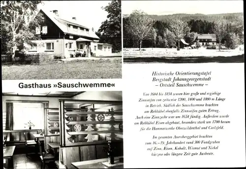 Ak Sauschwemme Johanngeorgenstadt im Erzgebirge, Gasthaus Sauschwemme