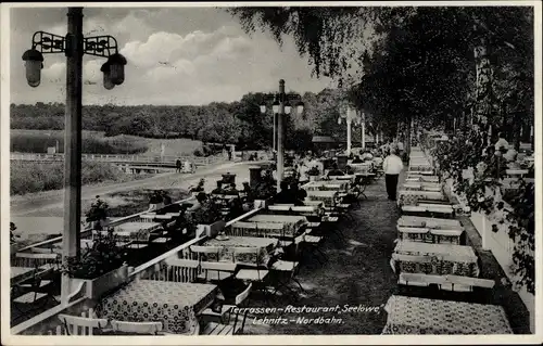 Ak Lehnitz an der Nordbahn Oranienburg im Kreis Oberhavel, Terrassen Restaurant Seelöwe