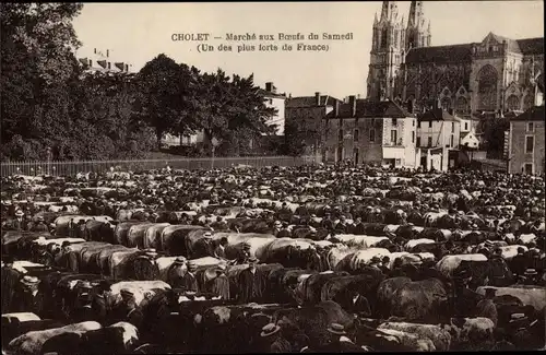 Ak Cholet Maine et Loire, Marche aux Boeufs du Samedi