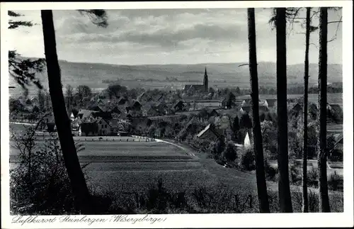 Ak Steinbergen Rinteln in Niedersachsen, Panorama