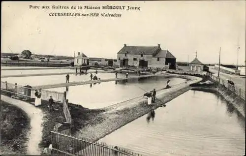 Ak Courseulles sur Mer Calvados, Parc aux huitres de la Maison Héroult Jeune