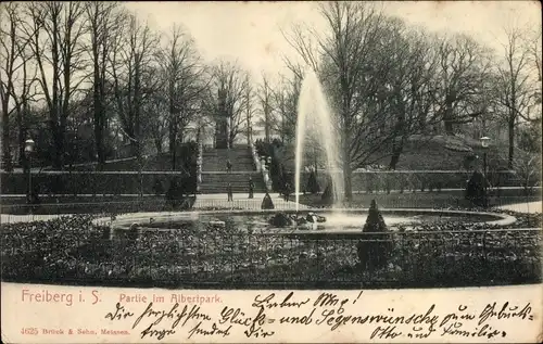 Ak Freiberg in Sachsen, Partie im Albertpark