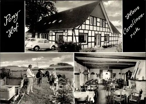 Ak Niederholsten Melle Niedersachsen, Pony Hof Haus Carolinenruh