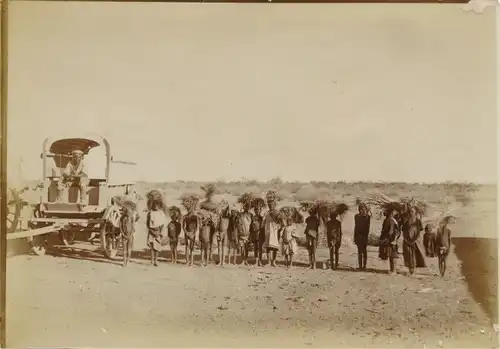 Foto DSW Afrika Namibia, ca 1900 - 1904, Afrikanische Kinder während der Erntearbeit, Gruppenbild