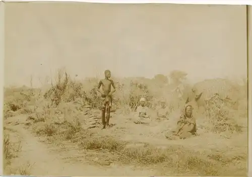 Foto DSW Afrika Namibia, ca 1900 - 1904, Afrikanischer junger Mann und Frauen, Erntearbeit