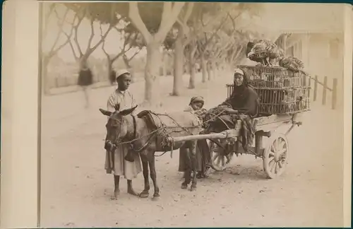 Foto Maghreb?, Arabische Frau und Kinder, Eselkarren, Truthähne