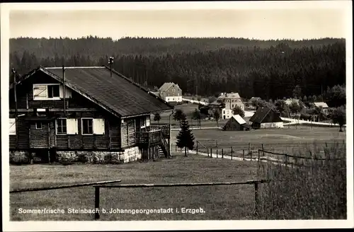 Ak Steinbach Johanngeorgenstadt im Erzgebirge, Gasthaus, Wohnhäuser