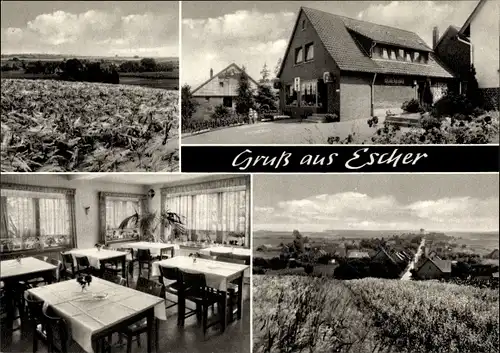 Ak Escher Auetal Niedersachsen, Gasthof, Kaufhaus, Aussen- und Innenansicht, Feld