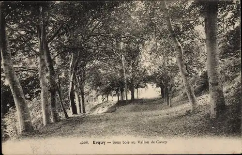 Ak Erquy Côtes d’Armor, Sous bois au Vallon de Cavey