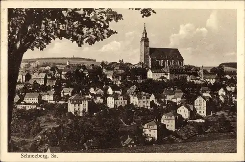 Ak Schneeberg im Erzgebirge, Gesamtansicht mit Kirche