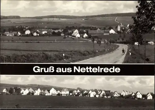 Ak Nettelrede Bad Münder am Deister, Panorama vom Ort