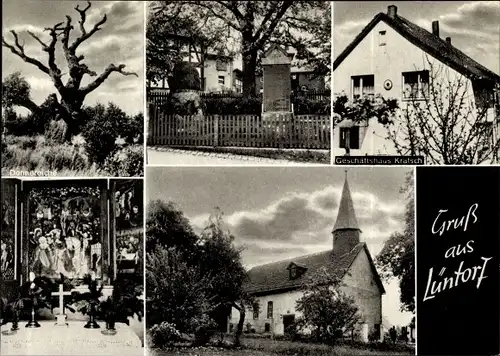 Ak Lüntorf Emmerthal Niedersachsen, Kirche, Inneres, Geschäft Kratsch, Donnereiche, Denkmal