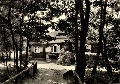 Ak Loheland Künzell Kreis Fulda, Kanzlei, Waldpartie