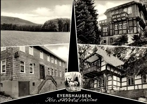 Ak Eyershausen Alfeld an der Leine, Gasthof Zum braunen Hirsch, Wald