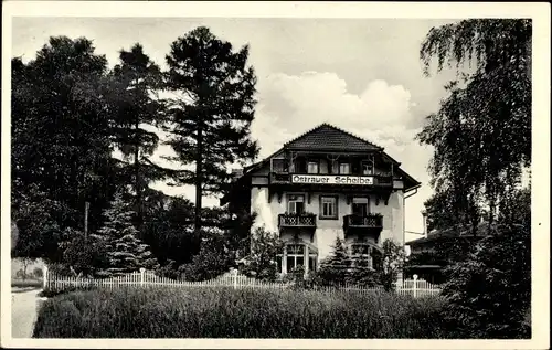 Ak Ostrau Bad Schandau Sächsische Schweiz, Hotel Pension Ostrauer Scheibe