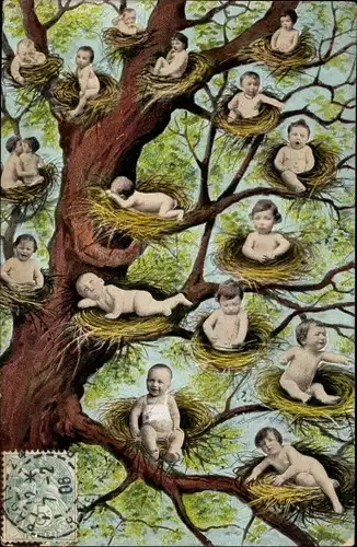 Ak Kleinkinder in Vogelnestern auf einem Baum, Fotomontage