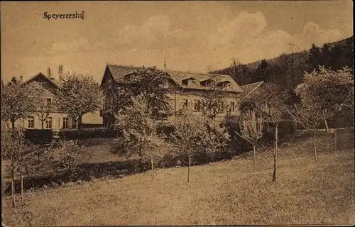 Ak Heidelberg am Neckar, Speyerers Hof, Inh. Eckh. Schmidt