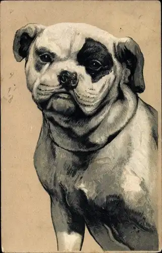 Präge Ak Hund, Portrait