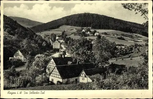 Ak Hagen in Westfalen, Partie im Selbecke Tal