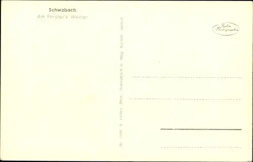 Ak Schwabach in Mittelfranken Bayern, Forsters Weiher