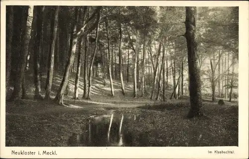 Ak Neukloster in Mecklenburg, Klasbachtal, Waldpartie