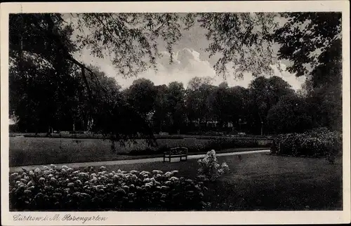 Ak Güstrow in Mecklenburg, Rosengarten