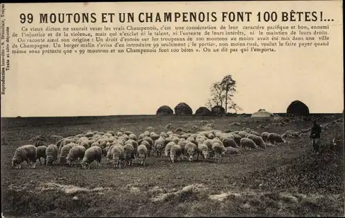 Ak Aube, 99 moutons et un Champenois font 100 Betes, Schäfer, Schafherde