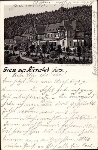 Litho Alexisbad Harzgerode am Harz, Hotel Försterling