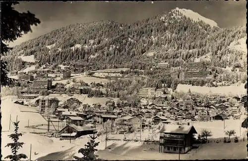 Ak Leysin Kanton Waadt, Panorama