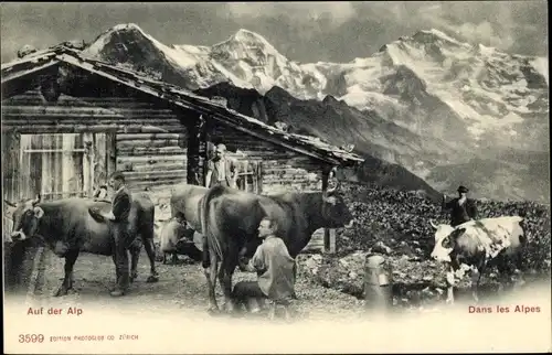 Ak Schweiz, Auf der Alp, Kühe werden gemolken, Gebirge