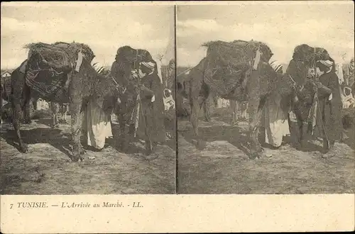 Stereo Ak Tunesien, L'Arrivee au Marche, Kamel, Araber, Maghreb