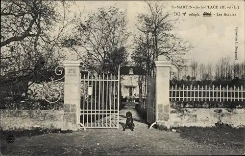 Ak Saint Martin de la Place Maine et Loire, Les Acacias
