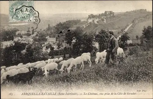 Ak Arques la Bataille Seine Maritime, Le Chateau vue prise de la Cote Gruchet