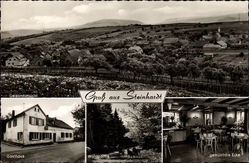 Ak Steinhardt Bad Sobernheim an der Nahe, Gasthaus Steinhardter Hof, Innenansicht, Blick auf den Ort