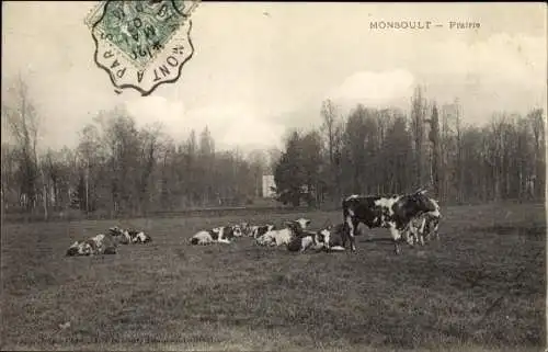 Ak Montsoult Val-d’Oise, Prairie