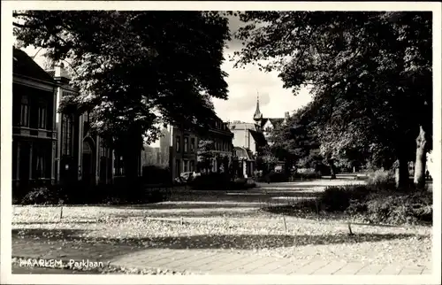 Ak Haarlem Nordholland Niederlande, Parklaan