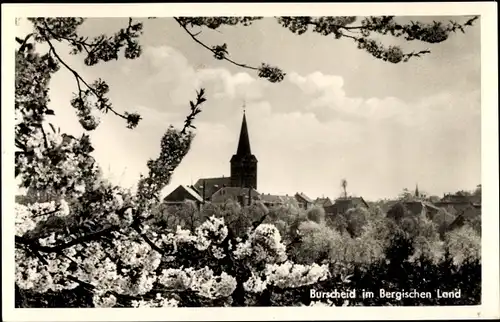 Ak Burscheid in Nordrhein Westfalen, Baumblüte, Kirche