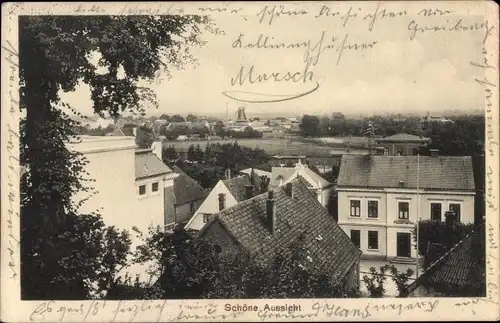 Ak Kellinghusen in Holstein, Panorama