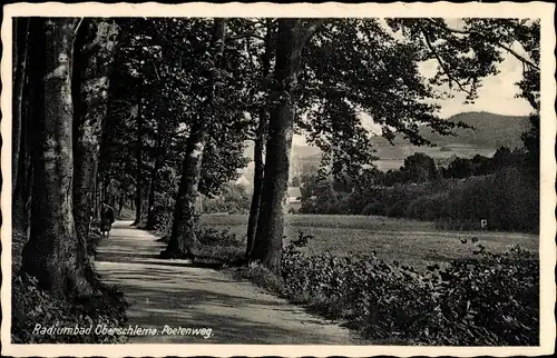 Ak Oberschlema Bad Schlema in Sachsen, Poetenweg