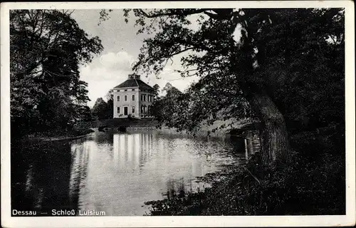 Ak Dessau in Sachsen Anhalt, Schloss Luisium