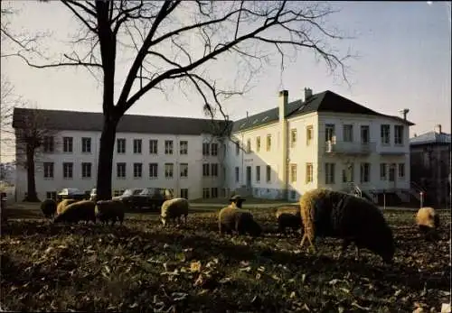 Ak Taverny Val d'Oise, Clinique Champ Notre Dame, Rue de l'Eglise