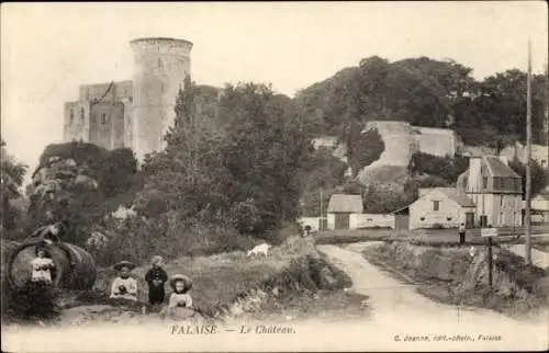 Ak Falaise Calvados, Le Chateau