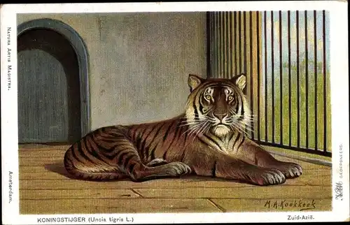 Künstler Ak Koekkoek, M. A., Koningstijger, Uncia tigris L.
