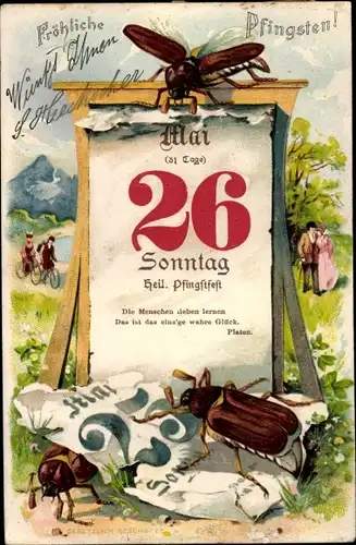 Litho Glückwunsch, Pfingsten, Maikäfer, Kalender 26. Mai