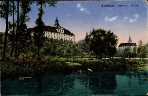 Ak Saalfeld an der Saale Thüringen, Herzogliches Schloss