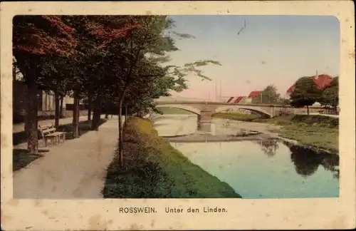 Ak Roßwein in Sachsen, Unter den Linden, Brücke
