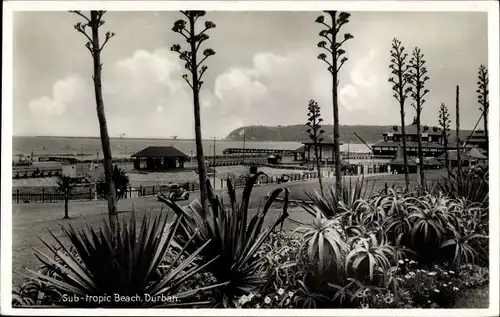 Ak Durban Südafrika, Sub Tropic Beach