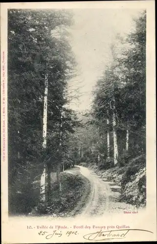 Ak Quillan Aude, Vallee de l'Aude, Foret