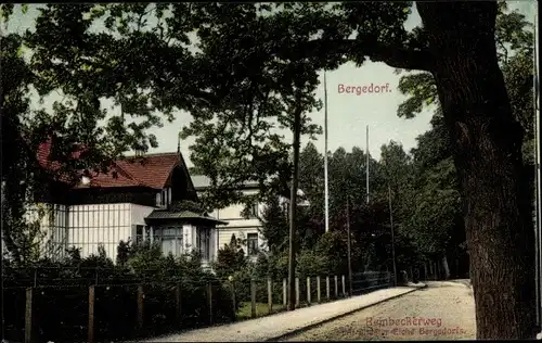Ak Hamburg Bergedorf, Reinbeckerweg, Alte Eiche